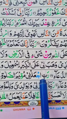 #🤍 #Quran #fypシ゚viral #viral #growmyaccount #pleaseunfrezzemyaccount 