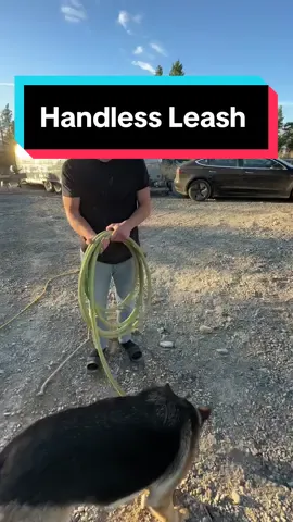 Are you kidding me 🤦‍♂️ #leash #leashtraining #leashyourdog #dogs #dogsoftiktok #doglover #dog #pet #PetsOfTikTok #petsmartmademebuyit #tiktokshop #tiktokmademebuyit #foryoupage #fyp #fypシ゚viral #foryou 