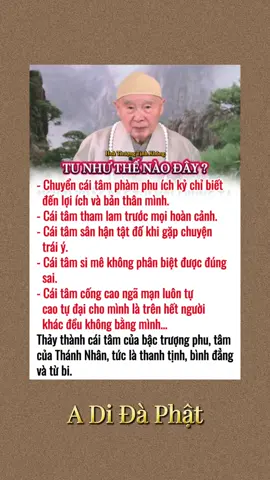 #phatphapnhiemmau #tayphuongcuclac #hoathuongtinhkhong #nammoadidaphat #adidaphat 