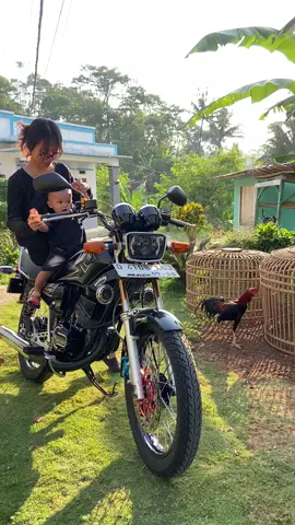 Hitam anjai🖤 ##rxkinghitam  #quennrxking135cc  #rxkingmodifikasi 