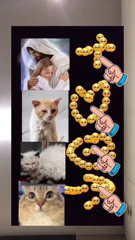 #cat 