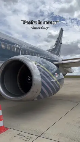Fan blades are fun #engine #boeing #airplane #hypnosis 