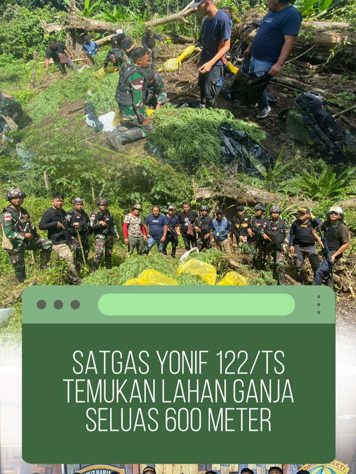 Satgas Yonif/122TS, Temukan Lahan Ganja Seluas 600 Meter Satgas pengamanan perbatasan RI-PNG Yonif 122/TS Pos Kalipay, bekerja sama dengan BNN dan Bea Cukai Jayapura, berhasil menemukan ladang ganja seluas 600 meter persegi dan 8 karung ganja siap edar dengan berat total 50,25 kg di Kampung Paitenda, Distrik Waris, Kabupaten Keerom, Papua. Penemuan ini berawal dari informasi warga setempat yang langsung ditindaklanjuti oleh tim patroli gabungan. #TNIAD #SatgasTNI #Prajurit #PatroliGabungan #Yonif122TS #BNN #BeaCukaiJayapura #PengamananPerbatasan #RI_PNG #PemberantasanNarkoba #KeamananNasional #TNIAD