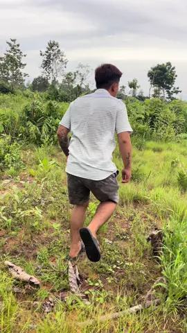 ដាក់អន្ទាក់ក្រួចអុឺតយកអាំងក្លែម😋🤭#យកតាទេហើយបងប្អូនអើយ😂😂😂 #ពេញលេងហើយធីមយើង #😂😂😂 #funny #viral #foryou #fyp 
