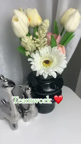 #teamwork #followtrain 