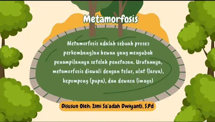 materi pembelajaran metamorfosis kelas 3:) 