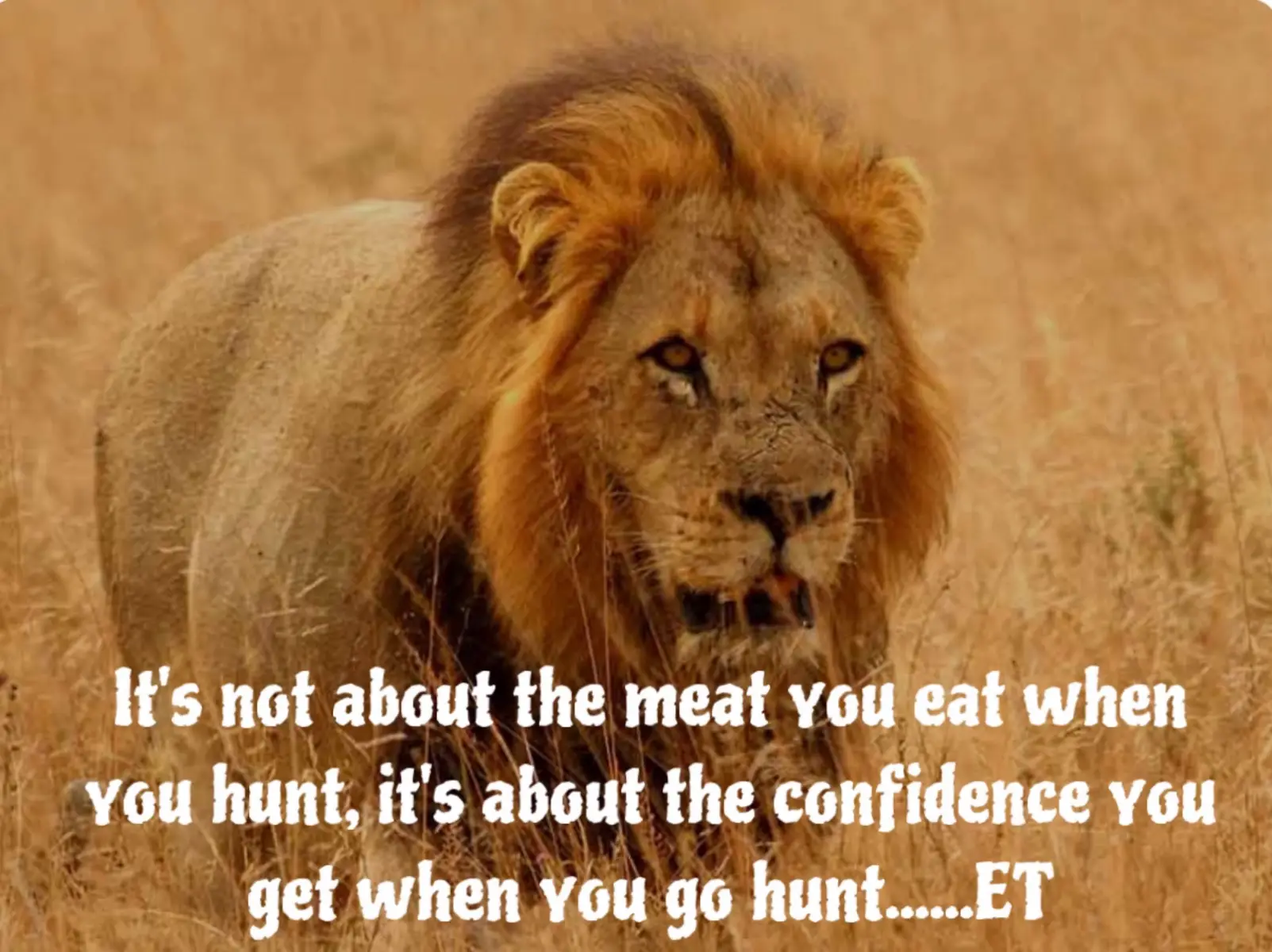 If you are hungry for success, it is not for the weak, it is not for the weary, or faint of heart. You must have confidence, be your authentic self, be able to take the pressure, and have personal accountability and responsibility.  #journey4theheart #yougottabehungry #youcandoittoo #changinglives