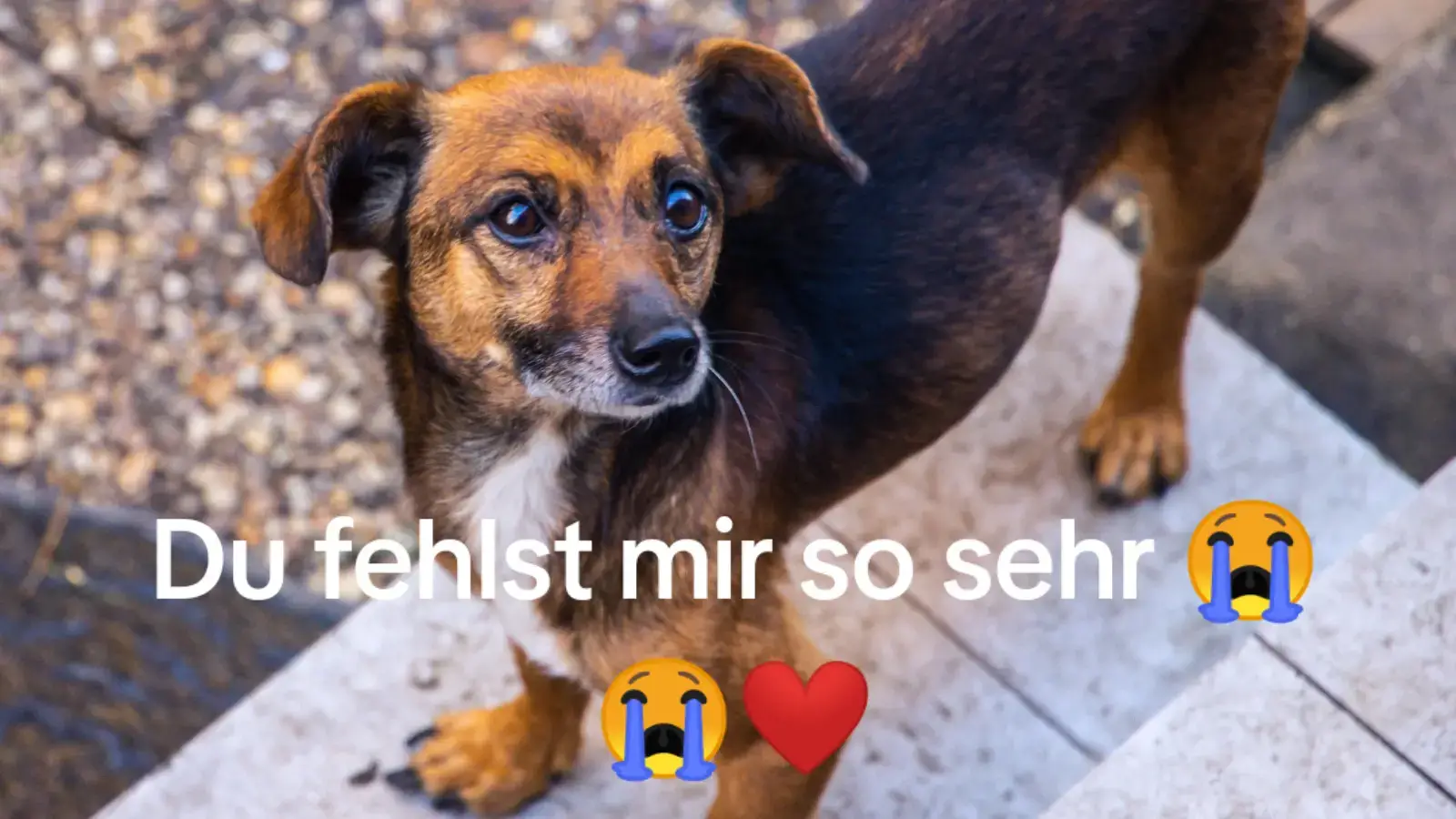 #fürimmerinmeinherz❤️ 