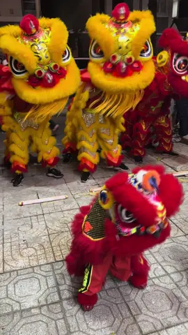 Hết trung thu con phải đi học hết đi múa lân được rùi ...hẹn cô chú tết nha  #dammelansurongmaidinh #lân_sư_rồng_niềm_đam_mê_bất_tận #baovuongduong #liondance #trungthu2024 #mualan #lanmini 