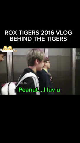 Peanut…. i love you Peanut !!! #peanut #peanutlol #rox16 #피넛 #한왕호 #hanwangho #xiaohuasheng #lol #lck #fygpシsemogacepatterselesaikan #viral 