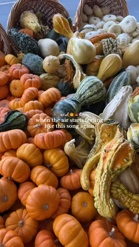 this song 🤝🏽 fall 🍁🍂 #fall #autumn #bermonths #fallvibes #halloween #cozyseason #pumpkinseason #pumpkinspice #halloweenaesthetic #fallaesthetic #cozycore #cozyfallvibes #halloweencore  #falltok #halloweentok 