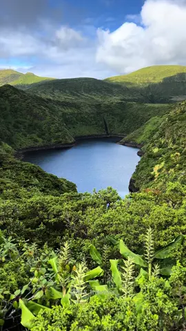 Discover the incredible natural wonder, Caldeira Comprida, surrounded by lush endemic Azorean plants. Its deep, dark waters and stunning prehistoric landscape can transport you back to the time when dinosaurs roamed the Earth.  Agree? 📍Flores island, Azores, Portugal 🇵🇹  #CaldeiraComprida #FloresIsland #Azores #NatureWonder #AzoresIslands #IslandAdventure #HiddenGems #travelportugal #AzoresPortugal #ExploreAzores #EcoTravel #ScenicViews #AzoresLovers #VisitAzores #WondersOfNature #Caldeira 