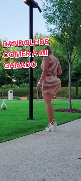 youtube 👉 Juliana Quiñonez #elbombondeoklahoma 