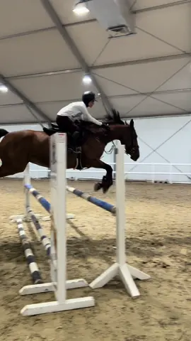 Training 😋😋 #equestrian #horsegirlvibesاكسبلور #horselover #showjumping #eq #horsesoftiktok #showjumper #mare #horsegirlvibes #horsegirl #mywholeheart #equestriangirl #training 