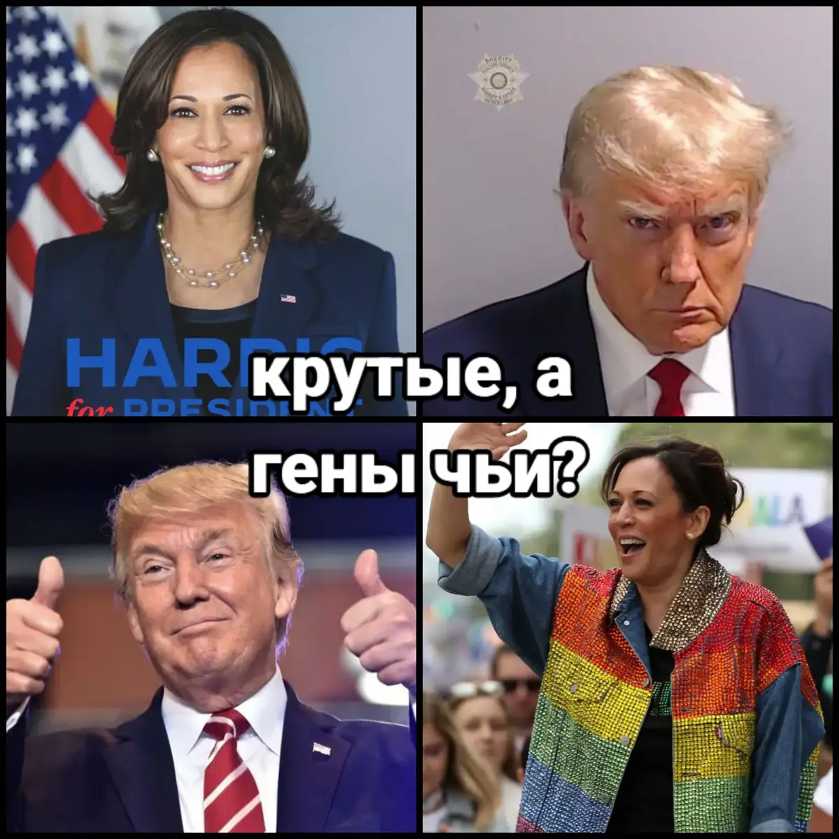 #donaldtrump #kamalaharris #pawpatrol #чиочиосан #трамп #камалахаррис #щенячийпатруль 