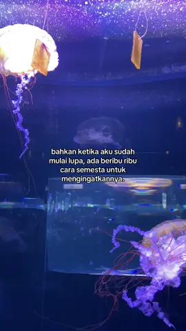 #ronyparulian #anginrindu #fypageシ #angin #rindu #fypシ゚ #fyppp #branda #sad #sadvibes #gamon #gamonvibes #gamonbrutall🥀 #quot #foryoupagе #galaustory #xzybca 