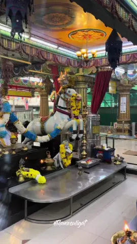 ஜாலான் பாரு முனீஸ்வரர் துணை🥹🙏🏻#jalanbarumuniswarar #peraimuniswarantemple #jalanbaru #penang ##king #jalanbaruayya #jalanbaruayyatemple #muniswararayyathunai #muniswaran #muniswararthunaivamsam #muniswararvamsam #muniswaran_appa_thunai #muniswararayyathunai #panjamuni #7ammuniattam #ayya #ayyathunai 