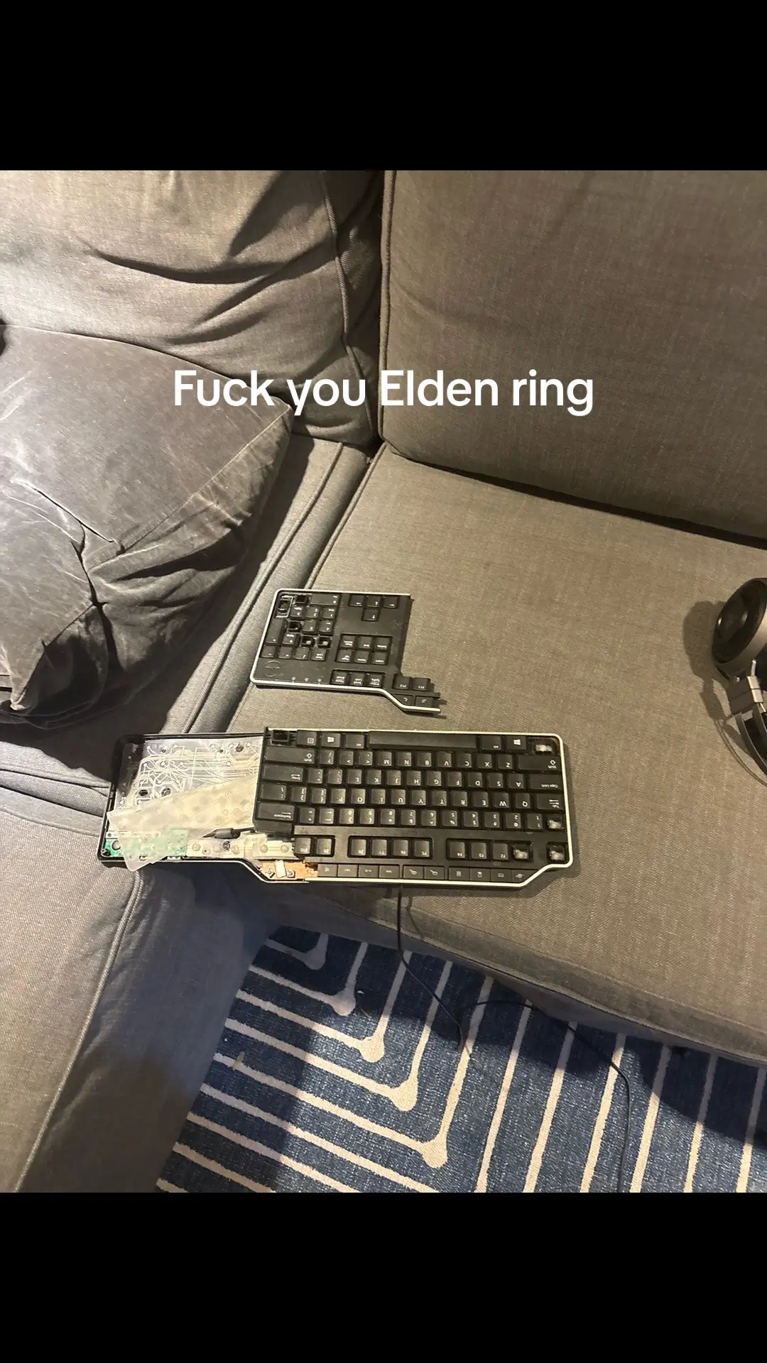 Elden ring dlc sucks #fypシ゚viral #foryou #eldenring #shadowoftheerdtree #fyp 