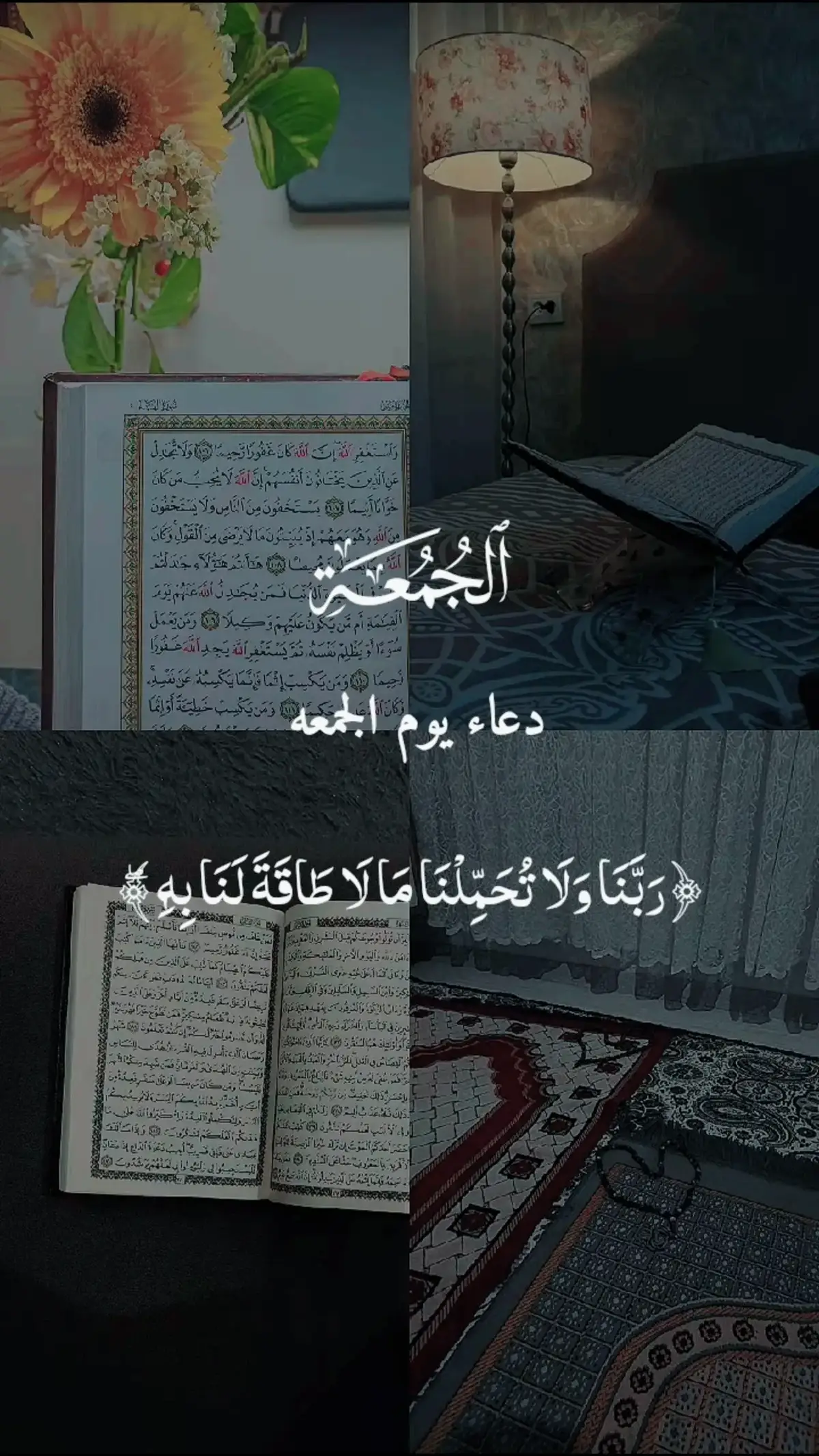 #قران #اجر_لي_ولكم #quran #quran_aywman #ayman_hasan97 #quran_vwa #quran_vw