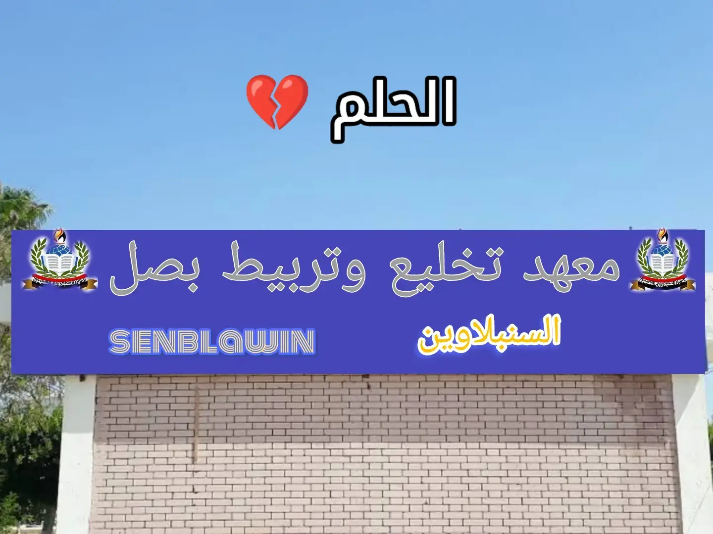 حلمي تحطم واختفي💔😅#الشعب_الصيني_ماله_حل😂😂 #السنبلاوين #تخليع_وتربيط_بصل #التنسيق #الكلية#جامعة_المنصورة #تجارة