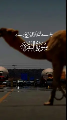 #CapCut #🤲🤲🕋🕋🤲🤲 #♥️♥️ 