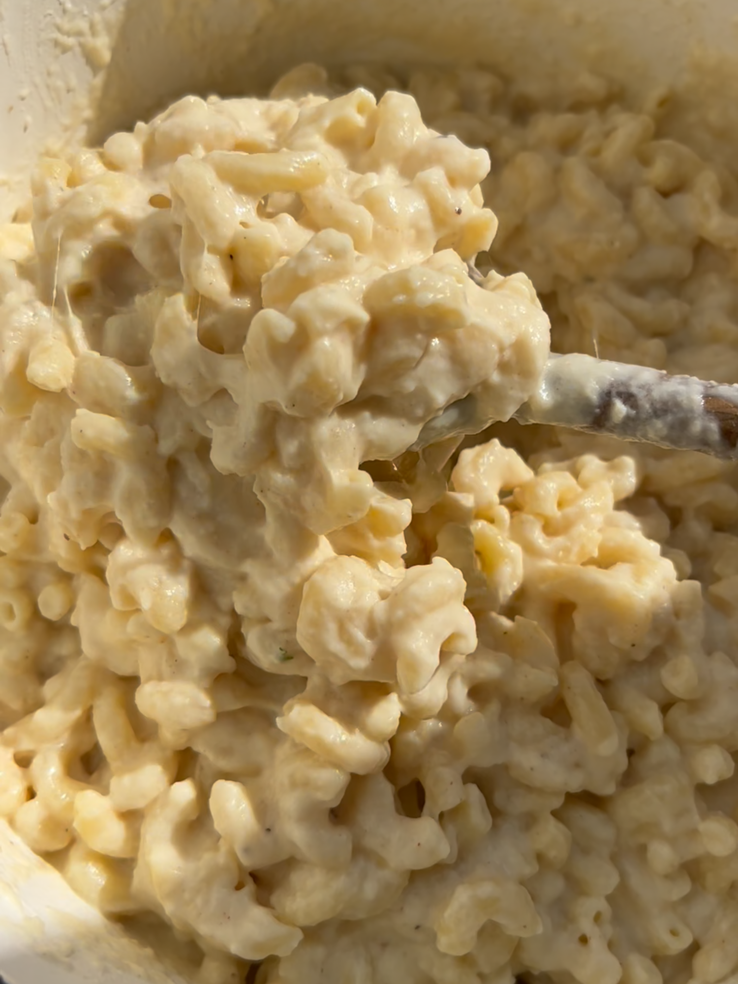 Who doesn't love an easy mac and cheese recipe? This is obviously my kid's favorite pasta dish, so I turned it into a gourmet version that the whole family will love having for dinner. This easy creamy Three Cheese Mac and Cheese with Garlic Panko Breadcrumbs is going to top any mac and cheese you have ever made! It is loaded with ooey-gooey melty cheese and you can whip it up in 30 minutes for a quick dinner the whole family will love! Follow Chef Savvy for more pasta dinner recipes! #macandcheeserecipe #pastarecipe #macandcheese #familydinner #comfortfood