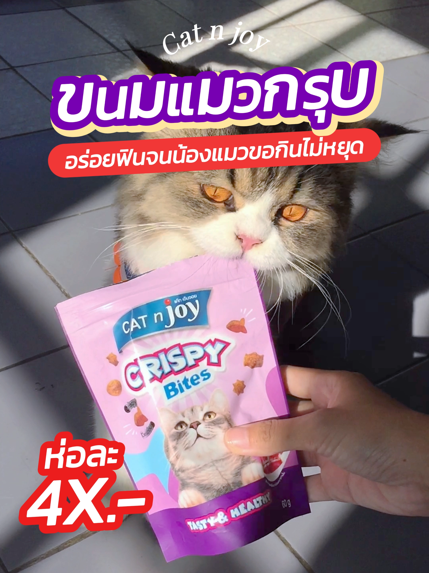 🐈ขนมแมวกรุบกรอบอันนี้เริ่ด น้องแมวฟินมาก กินแซ่บสุดๆ😻💖 #catnjoy #catnjoyอาหารแมว #catnjoycrispybites #แค็ทเอ็นจอย #ขนมแมว #อาหารแมว #catfood #cats #ทาสแมว #แมว #แมวอ้วน #แมวเปอร์เซีย #ใช้ดีบอกต่อ #tiktokป้ายยา #fypシ゚ #ใช้จริงรีวิวเอง #fyp #tiktokรีวิว