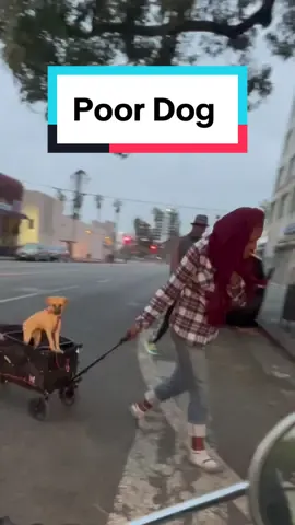 Park macArthur is soo different now #park #dog #scooter #work #run #pushups #money #family 