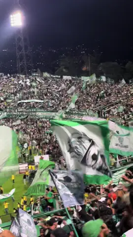 Solo te pido verde, que vos salgas campeon…🎶🇳🇬🟢⚪️ #atleticonacional #losdelsur #siemprepresentes #vamosnacional #nacionaldalecampeon #futbol #volveremos 