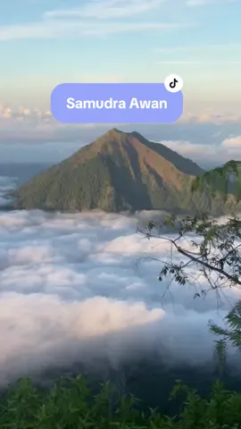 samudra awan di gunung telomoyo  . . #magelang #fyp #aestheticvibes #metoosmile @Pesona Indonesia @Wonderful Indonesia @malieqmaul13 