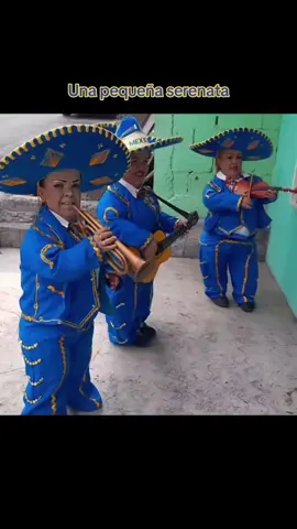 los calibre 25  #mariachi#serenta#mexico#zacatecas#jalisco#pequeñosgigantes#musica 