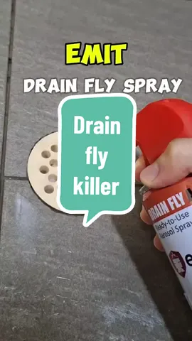 EMIT drain fly foam spray. I used to pour hot water into the drain hole until I discovered this. really effective in getting rid of those irritating drain flies that accompany you during your shower time. #createtowin #weeklywedrush #tiktokshopsgsale #TikTokShop #tiktoksg #tiktokshopsolidlah #TikTokMadeMeBuylt #triedandtested #tiktokshoptreats #tiktokshopfinds #tiktokshopsingapore #tiktokshopcrossborder_seasale #tiktokshopsgsale #Rookiet #onlineshopping #support_me #sellwithtiktok #sgtiktok #tiktokshopfinds #whattoshop #tiktokshopmartdeal #trending #viral #savemorewithtiktokshop #mustbuy #sgbrandweek @lifeasysg 
