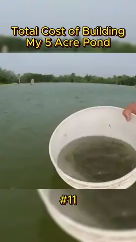 Total Cost of Building My 5 Acre Pond#BamaBass #BamaFrogs #TopwaterBass Fishing #backyardpond#basspond #buildingapond#aquascape #bamabass#crappie#bluegill #microfishingforanewpet #howto#bass#bassfishing#pond #tanktuesday#addingfish #microfishing#waterfall #farm#hiddencreek #hiddenpond 
