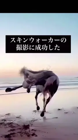 スキンウォーカーを見たことある？ #horror #scary #ghost #hantu 