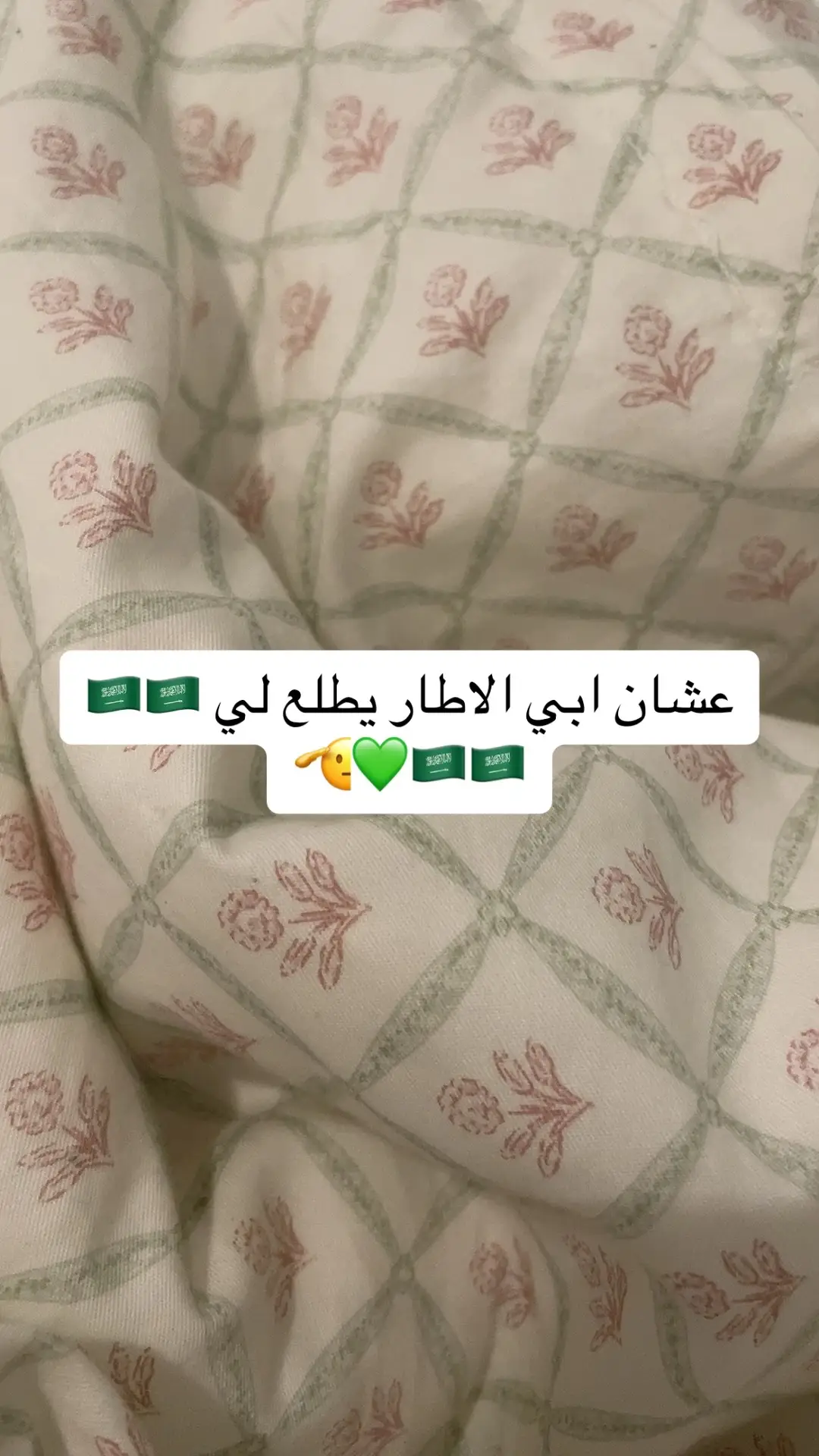 #اليوم_الوطني_السعودي_٩٤ 