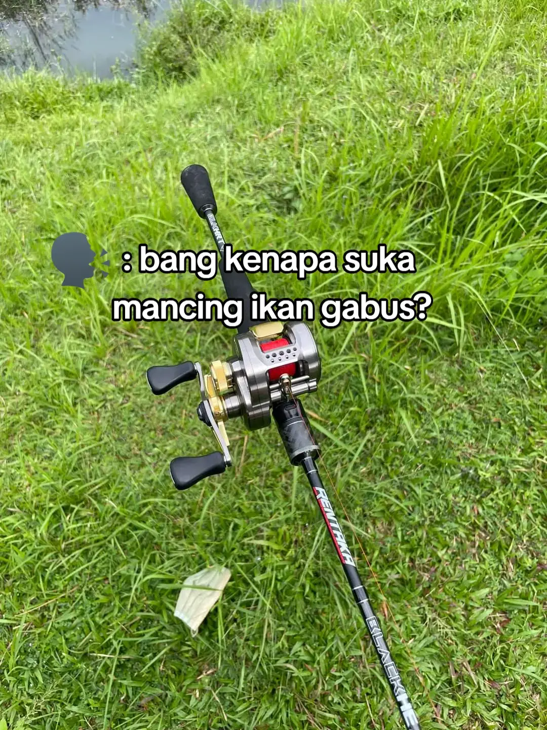 #storymancing #mancingmania  #castingfishing🎣 #fishing  #mancing #trend2024 