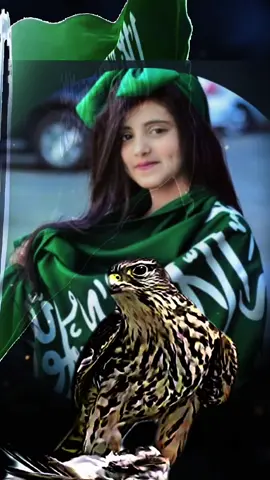 مادام آل سعود فينا حاكمين ..يادارنا فوق السحايب عيدي🇸🇦💚🤍#اكسبلورexplore_o #اليوم_الوطني_السعودي_٩٤ #مساء_الفخامه 🇸🇦