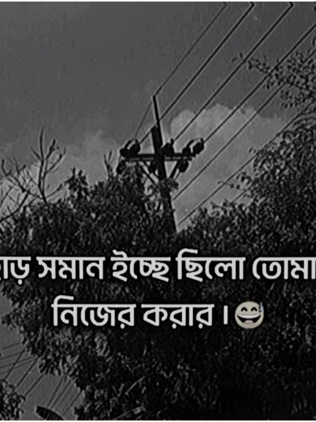 পাহাড় সমান ইচ্ছে ছিলো।😅#viral #tiktok #trending #foryou #foryoupage #viralvideo #virartiktok #prince__kobir #viral 