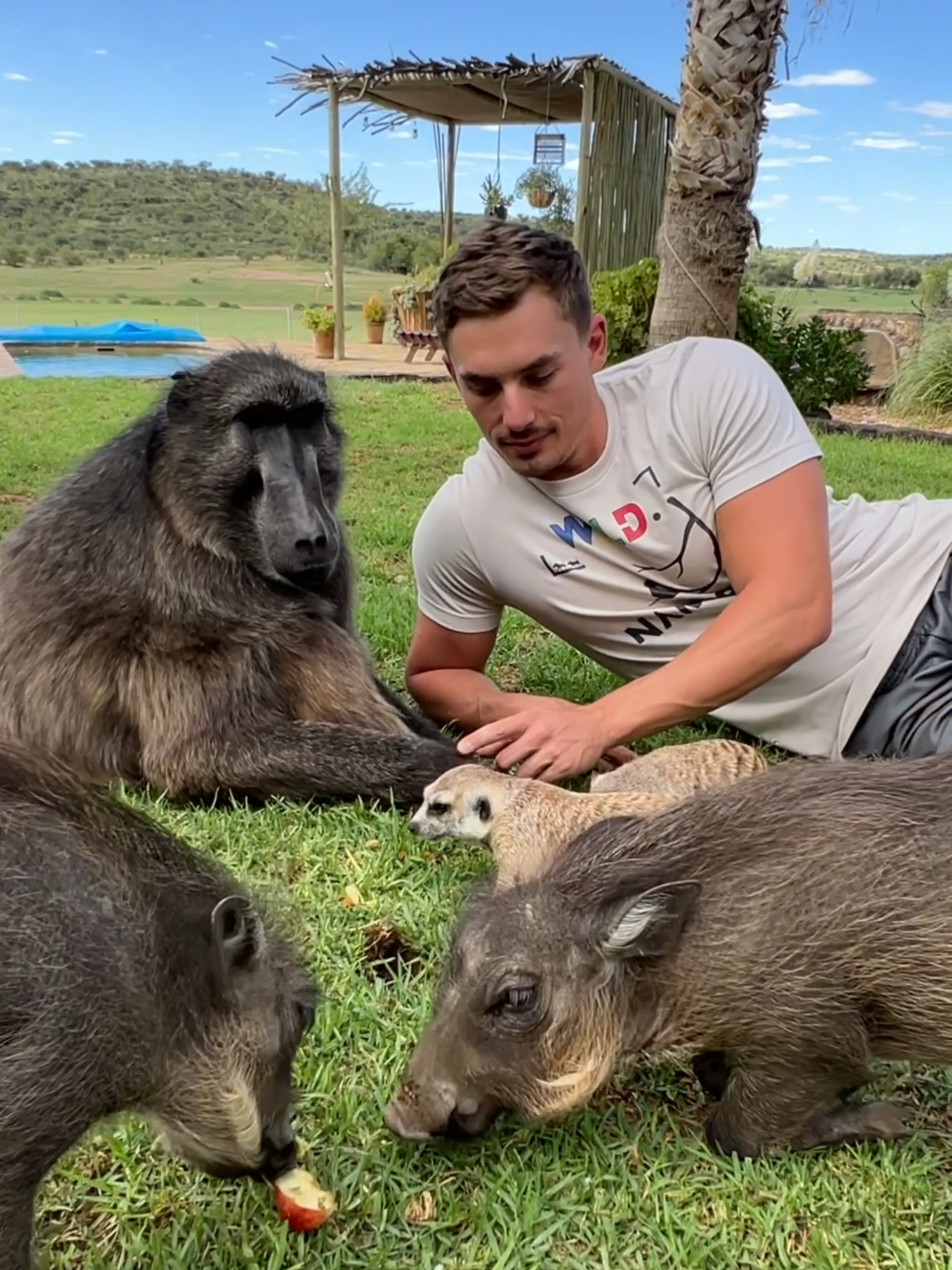 I adore my Animal Family! 🫶🏻😍 #farmlife #animallover #baboon #warthog #meerkat