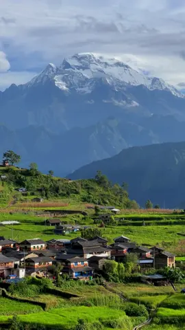 #myagdi #niskot #malikagaupalikamyagdi 
