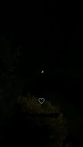 تسوين كل الخلق 💓🌚