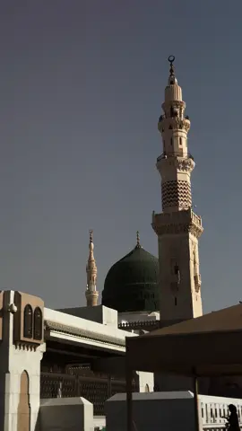 ومَـا وجودنا بلا مُحمـدِ🕊️🌿. #متباركين_يا_شيعة_؏ـلي🦋💕 #متباركين #مولد_النبوي_الشريف_مبارك #مولد_النبي_الاكرم #313 #المدينه #فرحة_الزهراء #اكسبلورexplore #fyp 