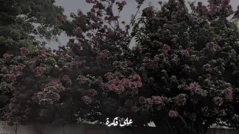 انتي ما بتشبهي حدا انتي غير الكل انتي اجمل شي بحياتي #king_21_s #تصميم_فيديوهات🎶🎤🎬 #ضيفوني_انستغرم_king_20 