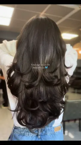 The best Butterflycut Cologne 🦋✨#butterflycut#layers#hair#hairtok#fy#cgn#köln#haircut#neumarkt#hairköln 