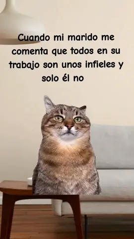😇#Meme #MemeCut #CapCut #matrimonios #novios #parejas #viralvideo #contenido #celos 