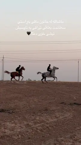 #foryou #viral #foryoupage #خيل_وخياله🐎 #horse @hama_surchy @مـحـمـد قـصاب 