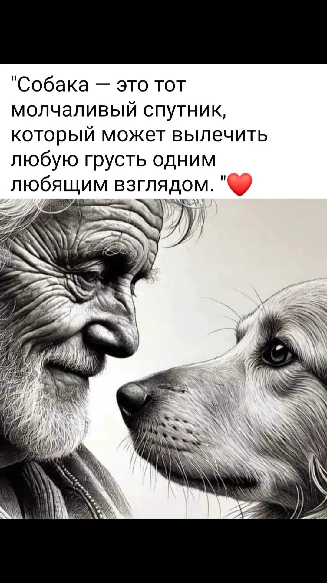 #любовь❤ #доброта #милосердие #жизнь 