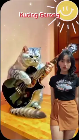 Kucing Garong #lagujawa #dj #dangdut #kucinggarong #cover #hiburan #joget #@ok lah mas bro 