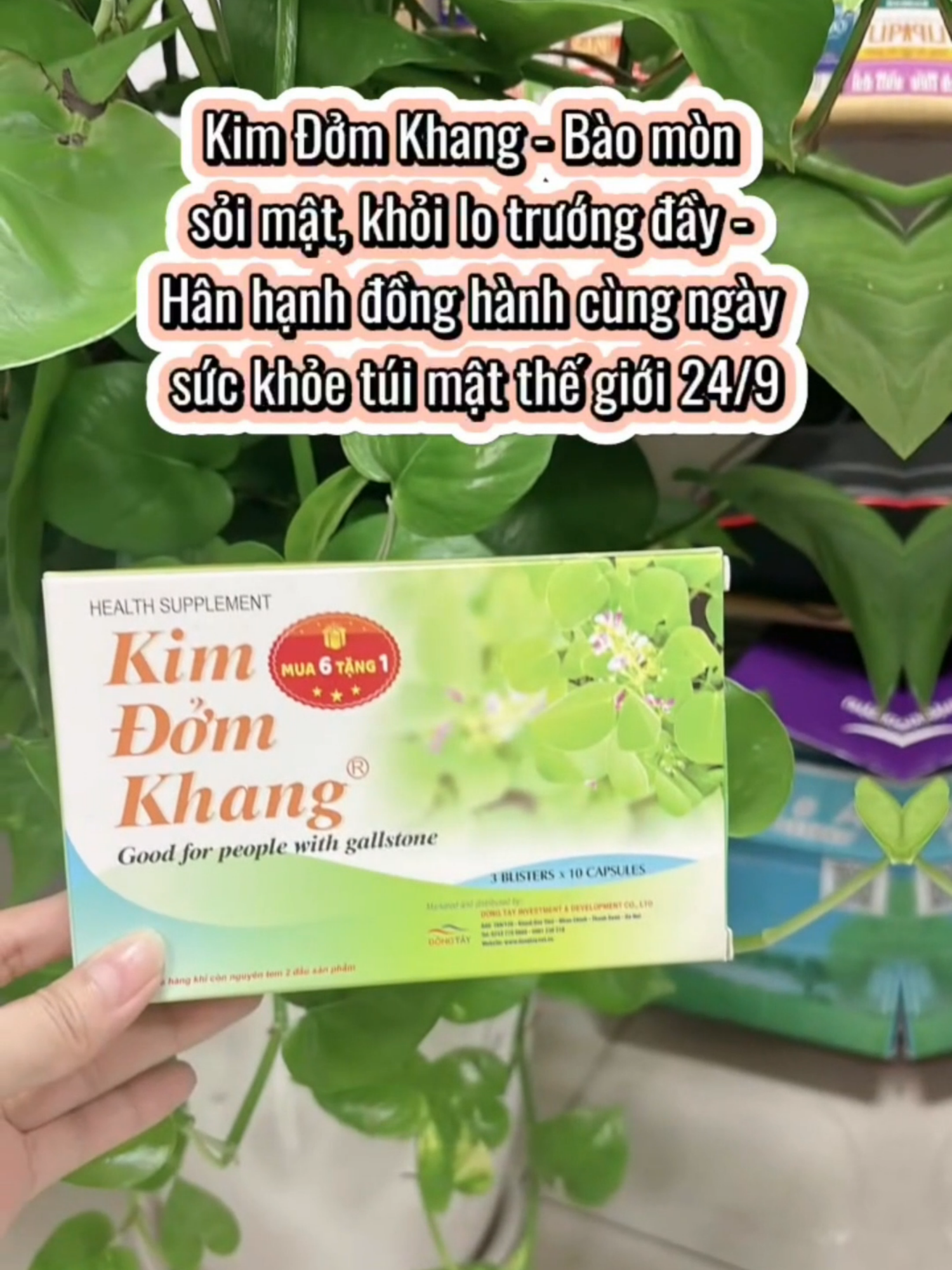 Kim Đởm Khang hỗ trợ cho người bị sỏi mật, sỏi gan, giúp làm mềm sạn sỏi và bài sỏi. #kimdomkhang #soi #soimat #soituimat #ngaytuimatthegioi #soigan #suckhoe #songkhoe247 #trend