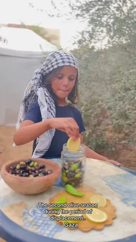 حتى الان الورد يقـ ـاوم🍉✌🏻 لما نزحنا على دير البلح بشهر 11 الي فات ، ماما قطفت زيتون من الارض الي كنا نازحين فيها ودقته وعملتلنا ياه ، اليوم بعد ما نزحنا على النصيرات ، رجعنا نقطف وندق زيتون من تاني ، النا سنة 😓  سنة كاملة تحت الموت والنزوح !! ،  قلبي وجعني وكل دعائي يارب ما نكمل الشتا هان ..  اصحاب هذه الارض استقبلونا عندما ضاقت علينا الارض بما رحُبت ، بارك الله لهم بأرضهم ومحاصيلهم❤️ So far the rose is resisting 🍉✌🏻 When we were displaced to Deir al-Balah last month of October 11, my mother picked olives from the land where we were displaced and pounded them and made them for us. Today, after we were displaced to Nuseirat, we returned to picking and pounding olives again. We have had a year 😓 a whole year under death and displacement!! My heart aches and all my prayers are, O Lord, we will not end winter here.. #explore #موسم_الزيتون #viraltiktok 